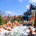 Brinquedos Radicais com Água no Universal Island Of Adventure
