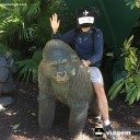 Como é o Parque Busch Gardens, em Tampa, perto de Orlando